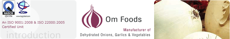 Dehydrated onion,Dehydrated Onions,Dehydrated Onion manufacturer,Dehydrated onion exporter,Dehydrated onion products,Dehydrated white onion
